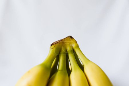 Photo for Close up banana on white background - Royalty Free Image