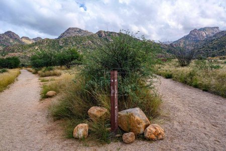 Photo for Catalina SP, AZ, USA - October 16, 2022: The different kinds of trials going to its scenic destination - Royalty Free Image