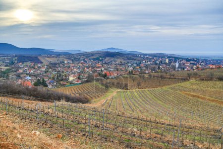 Foto de View of Md from the vineyard - Imagen libre de derechos