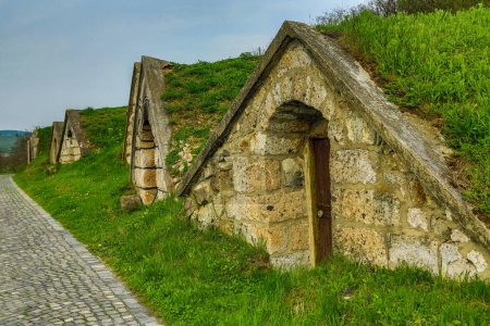 Téléchargez les photos : Hobbit cellars in the Tokaj region - en image libre de droit