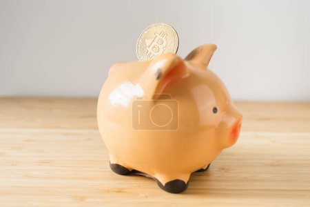 Foto de Bitcoin Crypto Investments Piggy Bank - Imagen libre de derechos