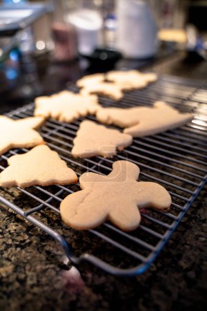 Téléchargez les photos : Christmas Sugar Cookies Cooling on Rack in Kitchen - en image libre de droit