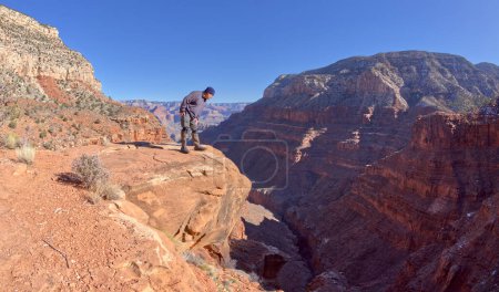 Photo for Hiker looking out at Hermit Canyon at Grand Canyon AZ - Royalty Free Image