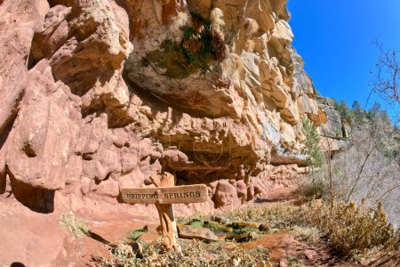 Téléchargez les photos : The oasis of Dripping Springs at the west end of Hermit Canyon in Grand Canyon Arizona. - en image libre de droit