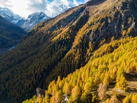 Foto de Swiss alpine landscape showing autumn colors - Imagen libre de derechos