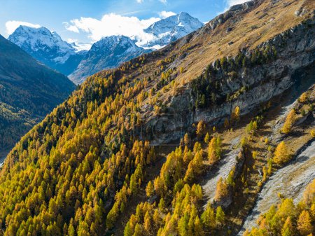 Téléchargez les photos : Swiss alpine landscape showing autumn colors - en image libre de droit