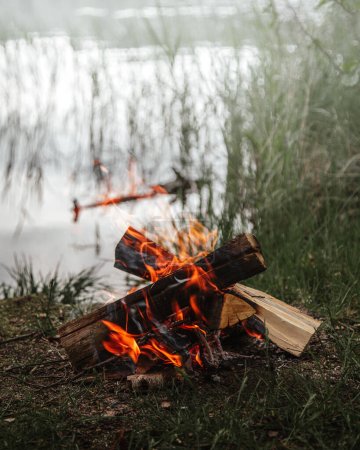 Foto de Bonfire close-up on the shore of a forest lake - Imagen libre de derechos