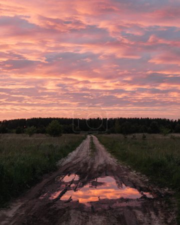 Foto de Sunset in the field after the rain - Imagen libre de derechos