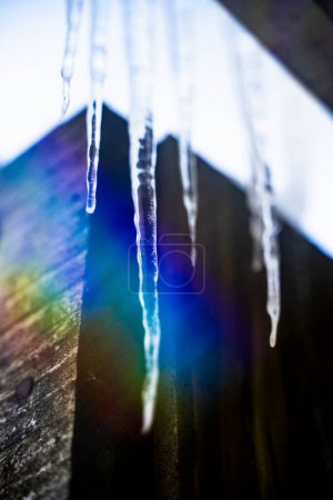 Photo for Icicles on Roof Melting in Rainbow Light Made by Prism in Winter - Royalty Free Image