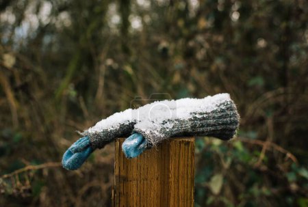Photo for Frozen lost glove with snow on it resting on a post - Royalty Free Image