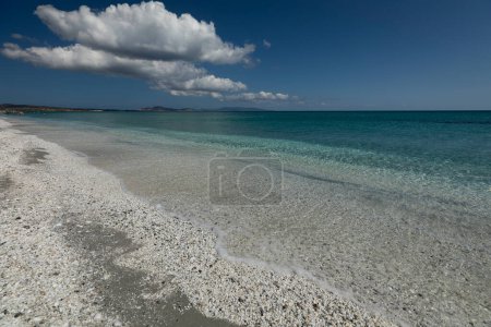 Photo for Pazzona Beach, Stintino, Sassari, Sardegna, Italy - Royalty Free Image