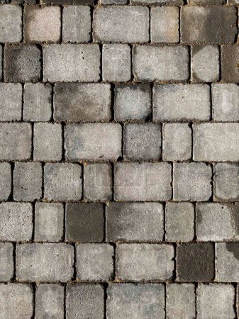 Foto de Block paved drive in charcoal grey colour paving - Imagen libre de derechos