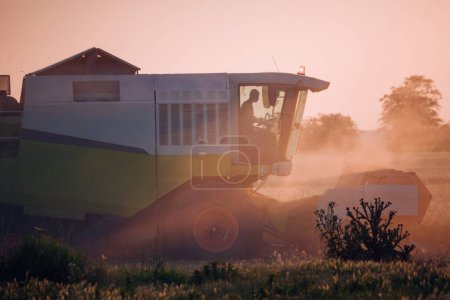 Foto de La cosechadora está trabajando al atardecer en el campo - Imagen libre de derechos