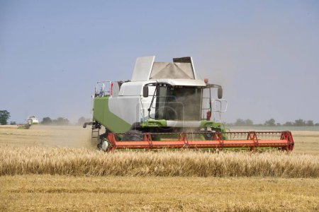 Photo for A combine harvesting at sun day - Royalty Free Image