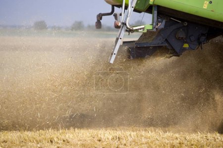 Téléchargez les photos : Concept of a rich harvest. Agriculture image - en image libre de droit