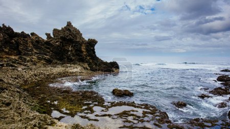 Téléchargez les photos : Terrain rocheux Pacfic ocean beach - en image libre de droit