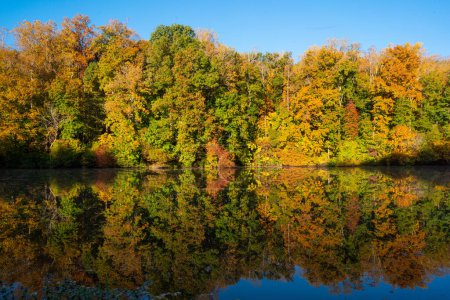 Foto de Autumn Reflections at Mallard Lake (Tanglewood) - Imagen libre de derechos