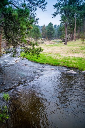 Téléchargez les photos : Le flux rafraîchissant de la ressource en eau naturelle d'un ruisseau - en image libre de droit