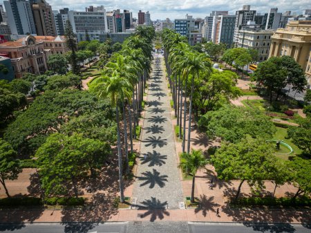 Foto de Hermosa vista del dron a la línea de palmeras imperiales en la plaza pública verde en Belo Horizonte, Minas Gerais, Brasil - Imagen libre de derechos