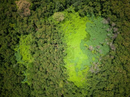 Foto de Beautiful drone view to green ecological area in Belo Horizonte, Minas Gerais, Brazil - Imagen libre de derechos