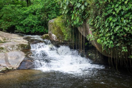 Photo for Beautiful view to green rainforest waterfall in jungle area near Paraty, Rio de Janeiro, Brazil - Royalty Free Image