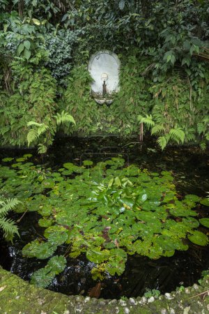 Téléchargez les photos : Beautiful view to white water drinking fountain in green garden of old historic house in Museu do Aude, Rio de Janeiro, Brazil - en image libre de droit