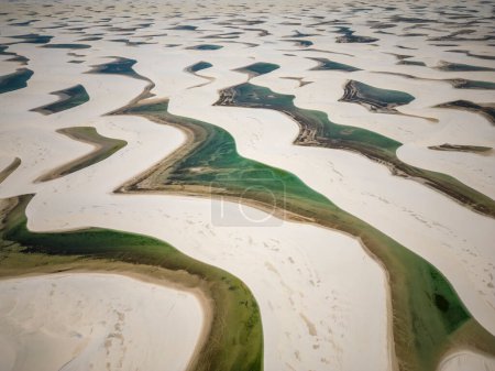 Foto de Hermosa vista aérea a las dunas de arena blanca y piscinas de agua de lluvia verde en Lenis Maranhenses, cerca de Barreirinhas, Maranho, Brasil - Imagen libre de derechos