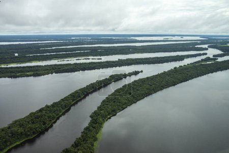 Téléchargez les photos : Belle vue aérienne sur la grande rivière et la forêt amazonienne verte, près de Manaus, État d'Amazonas, Brésil - en image libre de droit