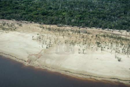 Téléchargez les photos : Belle vue aérienne sur la grande rivière, la plage de sable jaune et la forêt amazonienne verte, près de Manaus, État d'Amazonas, Brésil - en image libre de droit