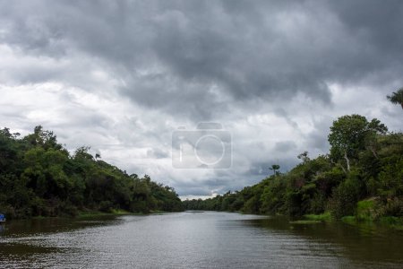 Foto de Hermosa vista al gran río, grandes nubes de lluvia y selva amazónica verde, cerca de Manaus, estado de Amazonas, Brasil - Imagen libre de derechos