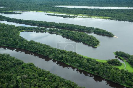 Foto de Beautiful aerial view to large river and green Amazon Rainforest, near Manaus, Amazonas State, Brazil - Imagen libre de derechos