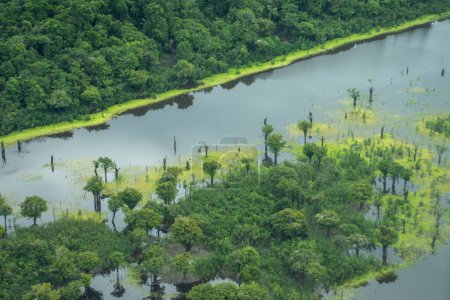 Foto de Beautiful aerial view to large river and green Amazon Rainforest, near Manaus, Amazonas State, Brazil - Imagen libre de derechos