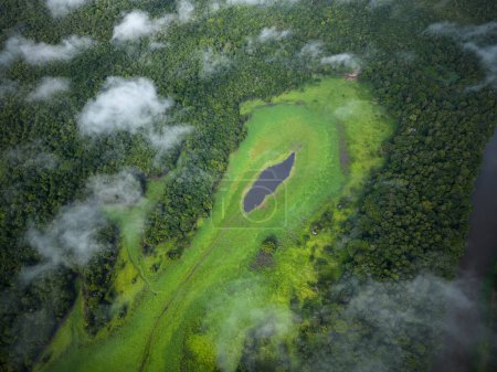 Foto de Hermosa vista aérea de arriba hacia abajo del dron al gran río y la selva tropical verde en la Amazonía brasileña - Imagen libre de derechos