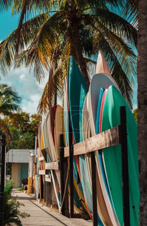 Téléchargez les photos : Trois planches sur la plage bateaux palmiers tropical Miami - en image libre de droit