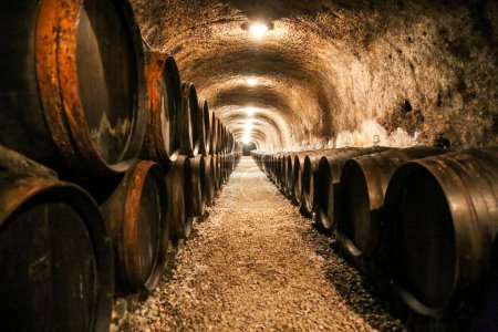 Photo for Old cellar in the Tokaj region - Royalty Free Image