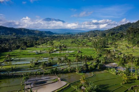 Aerial drone view of the valley of Sidemen in Bali Indonesia