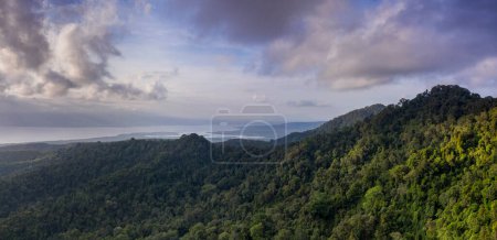 Photo for Panorama of the mountainous rainforest in Negara in Bali Indonesia - Royalty Free Image
