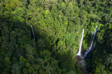 Téléchargez les photos : Drone view of Sekumpul waterfall in North Bali in Indonesia - en image libre de droit