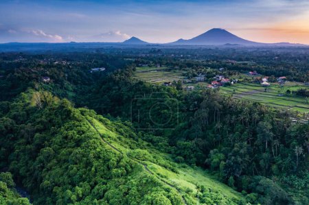 Photo for Campuhan Ridge near Ubud in Bali Indonesia - Royalty Free Image