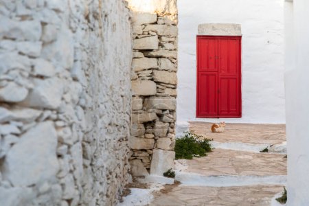 Téléchargez les photos : Cat on stone road with red door in Amorgos, Greece - en image libre de droit