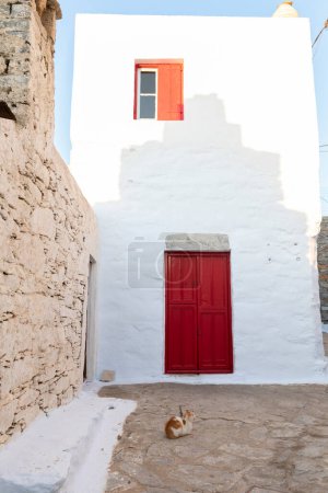 Téléchargez les photos : Chat sur route en pierre avec porte rouge à Amorgos, Grèce - en image libre de droit