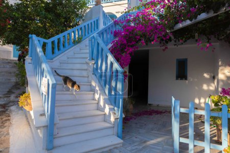Foto de Gato en la escalera en Xilokeratidi en Amogos, Grecia - Imagen libre de derechos