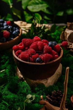 Téléchargez les photos : Raspberries in a plate in a forest clearing. - en image libre de droit