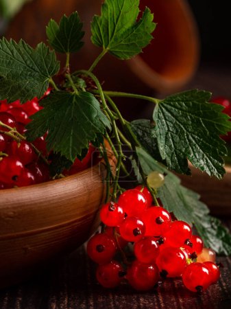 Téléchargez les photos : Red currant berries in a clay bowl and on branches - en image libre de droit
