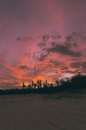 Foto de Atardecer rojo con árboles de arena - Imagen libre de derechos
