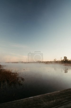 Téléchargez les photos : Fog on the water at Lake Bastrop South Shore - en image libre de droit