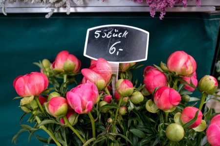 Téléchargez les photos : Belles fleurs de pivoine à vendre - en image libre de droit