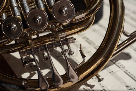 Téléchargez les photos : Une partie du cor français sur fond de notes de musique blanches - en image libre de droit