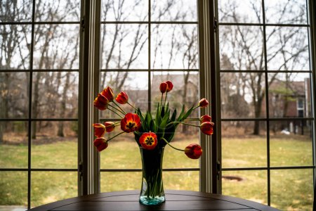 Foto de Red Tulips Looking for Sunlight on Table by Window - Imagen libre de derechos