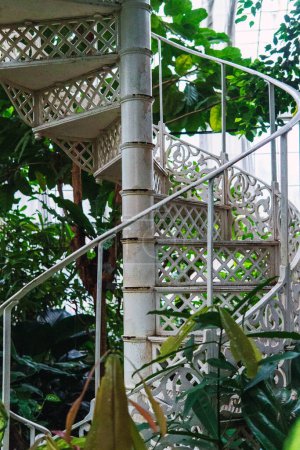 Foto de Gente subiendo una escalera de caracol rodeada de plantas - Imagen libre de derechos
